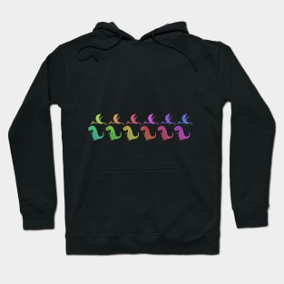 Dinosaur rainbow! Hoodie